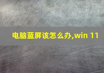 电脑蓝屏该怎么办,win 11